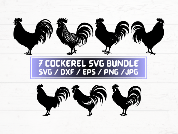 Cockerel SVG, DXF, EPS, JPG, PNG Bundle for Graphics and Crafts